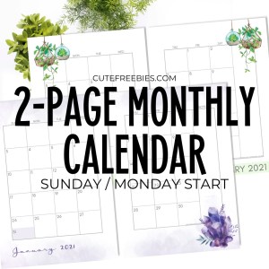 Free Printable 2022 2021 Monthly Calendar two page spread, calendar in two pages. Get your free PDF download now! #freeprintable #cutefreebiesforyou #crystals #hangingplants #diyplanner #homebinder