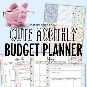 Free Printable Budget Planner - best monthly budget planner template #cutefreebiesforyou #freeprintable #budgetplanner SEE PREVIOUS POST TO GET THE COMPLETE BUDGET PLANNER