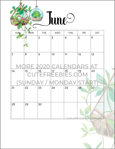 June 2020 calendar free printable with plants design