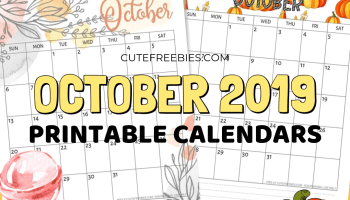 Free Printable October 2019 Calendar - 5 monthly calendars or planners, Sunday or Monday start calendar. Get your free download now! #freeprintable #cutefreebiesforyou #halloween